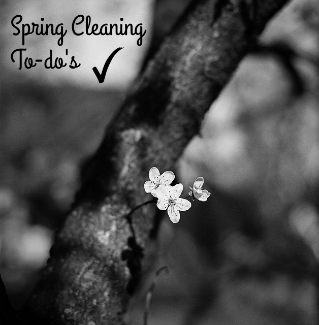 Spring Cleaning To-do's